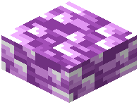 Purple Plastic Slab