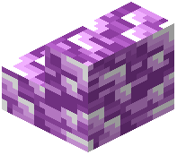 Purple Plastic Stair