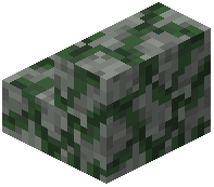 Swamp Stone Stair