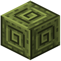 Chiseled Lime Terracotta