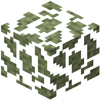 Olive Leaves