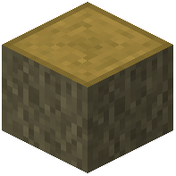 Olive Log