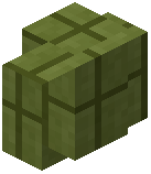 Polished Lime Terracotta Wall