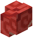 Red Glazed Terracotta Wall