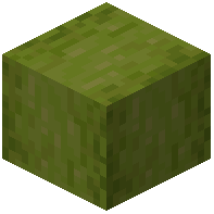 Stripped Zircon Wood