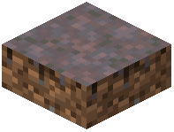 Mycelium Slab