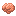 Raw Brain