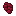 Raw Kidney