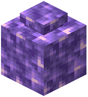 Amethyst Decorated Pot