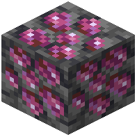 Deepslate Spinel Ore