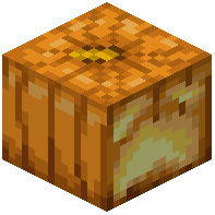 Anguished Jack O Lantern
