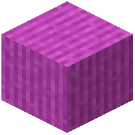 Barky Magenta Wool