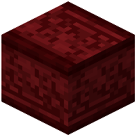 Blank Red Nether Bricks Carving