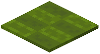 Blocky Green Carpet
