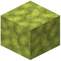 Bulby Sponge
