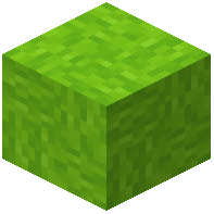Bundled Lime Wool