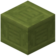 Chiseled Lime Terracotta