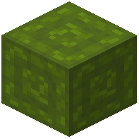 Cornered Green Wool