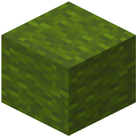 Crafted Green Wool