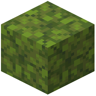 Crunchy Moss Block