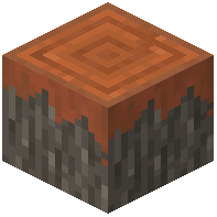 Damaged Acacia Log
