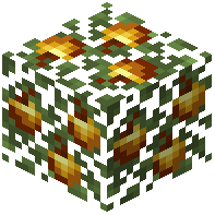 Golden Apple Birch Leaves