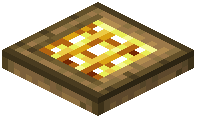 Golden Barred Oak Trapdoor