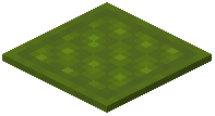 Harsh Quilted Green Carpet
