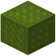 Harsh Quilted Green Wool