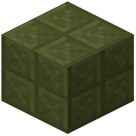 Hexagonical Green Terracotta