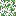Ivy Vine