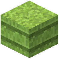 Jungle Hay Block