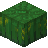 Kabotchkin