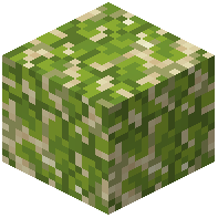 Kelp Sand