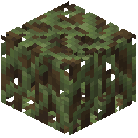 Leafy Mangrove Roots