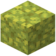 Lush Sponge