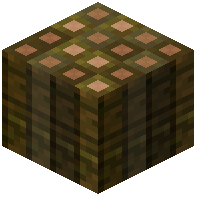 Mixed Jungle Log