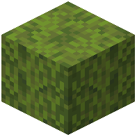 Mossy Dried Kelp Block
