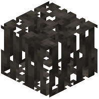 Muddy Mangrove Roots