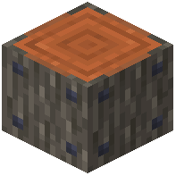 Nailed Acacia Log