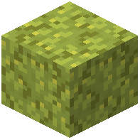 Old Sponge