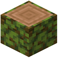 Overgrown Jungle Log