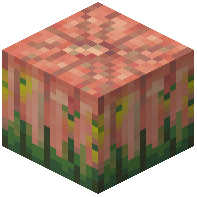 Overgrown Pimpkin