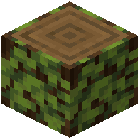 Overgrown Spruce Log