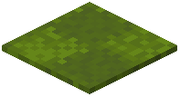 Patched Green Carpet