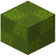 Patched Green Wool