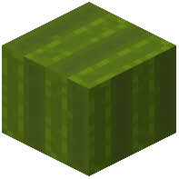 Rectangle Green Wool