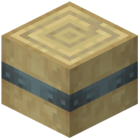Reinforced Stripped Birch Log