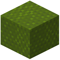 Scaled Green Wool