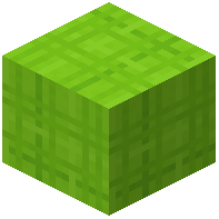 Stringed Lime Wool
